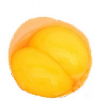 Яйцо 2 желтка